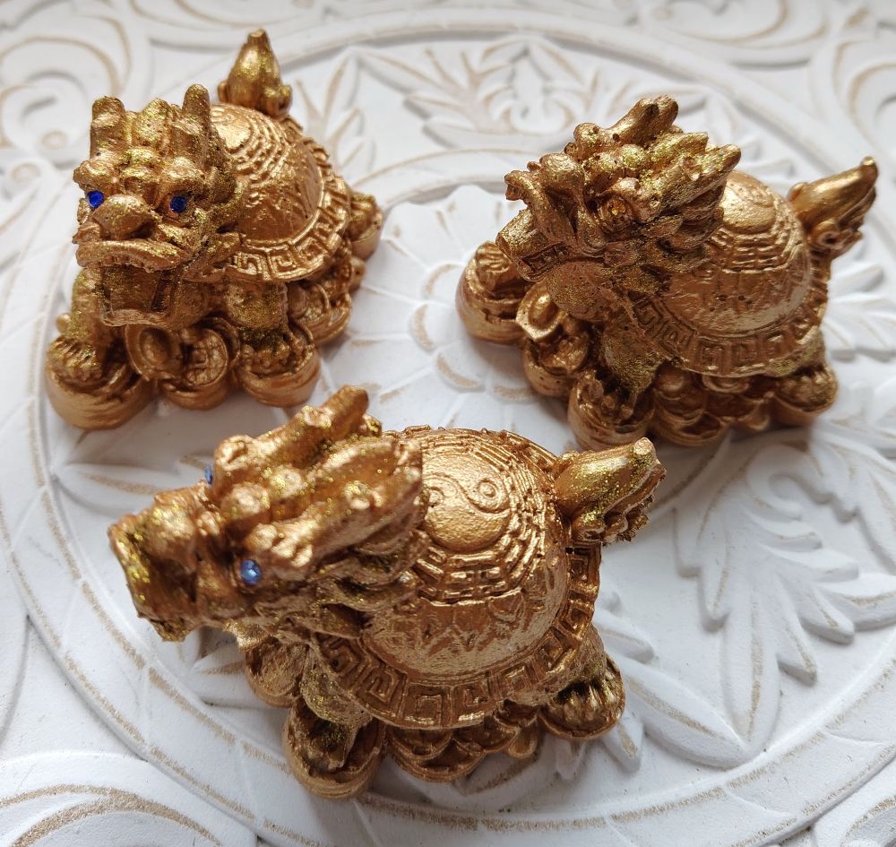 Lohikäärmepäinen kilpikonna